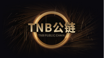 TNB公链：将持续推动个人时间实现自主数字化上链