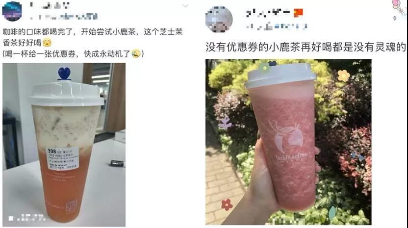 小鹿茶，狂奔两个月：催肥一只新茶饮独角兽