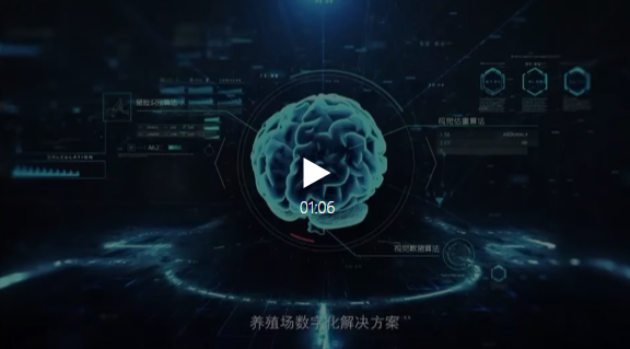 巨头的“OS”之战