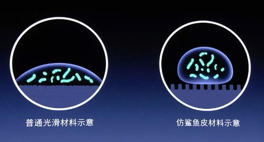 “首席忽悠官”罗永浩