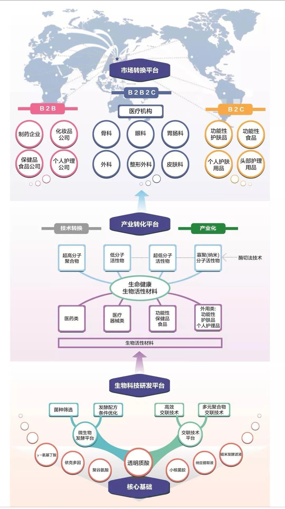 很“南”的2019，还存在高增长企业吗？