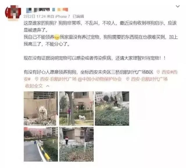 疫情之下，猫狗被活埋、焚烧、摔死：比病毒更可怕的，是丧失底线