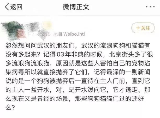 疫情之下，猫狗被活埋、焚烧、摔死：比病毒更可怕的，是丧失底线