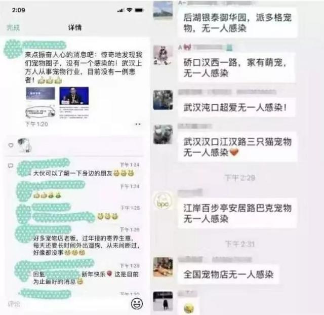 疫情之下，猫狗被活埋、焚烧、摔死：比病毒更可怕的，是丧失底线